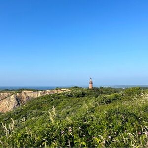 Meet your Posher, Ella